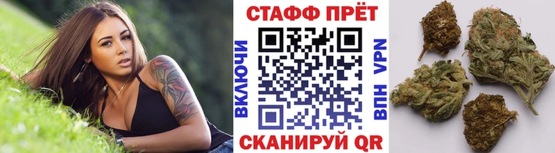 Где купить наркотики Долгопрудный Псилоцибиновые грибы Амфетамин МЕФ МАРИХУАНА Гашиш