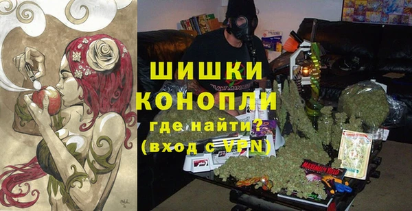 сатива Арсеньев