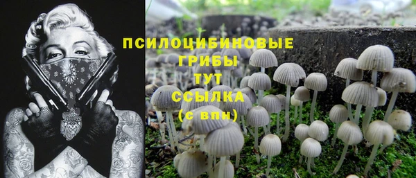 мескалин Балахна